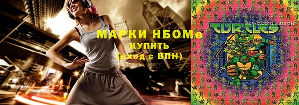 дурь Осташков