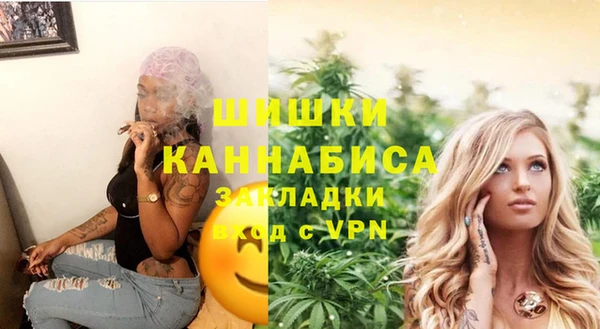 дурь Осташков
