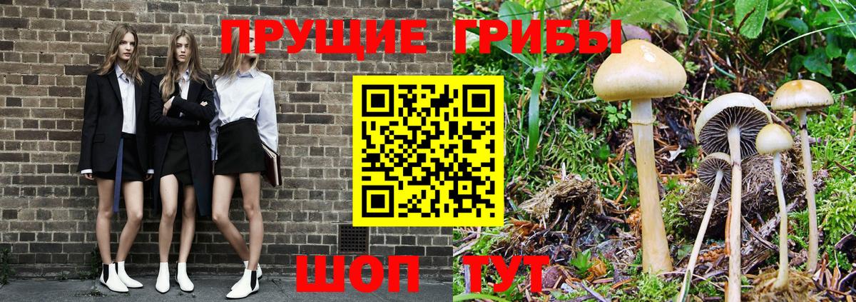 купить закладку  Вход с VPN  Губаха  Псилоцибиновые грибы мухоморы 