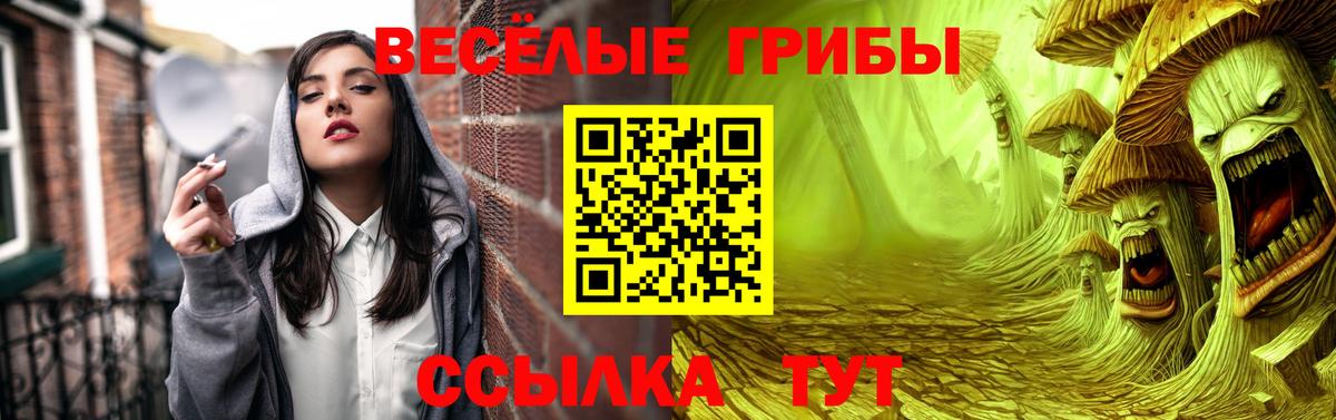 Псилоцибиновые грибы ЛСД Губаха